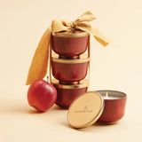 THYMES Simmered Cider Candle Tin with Gold Lid